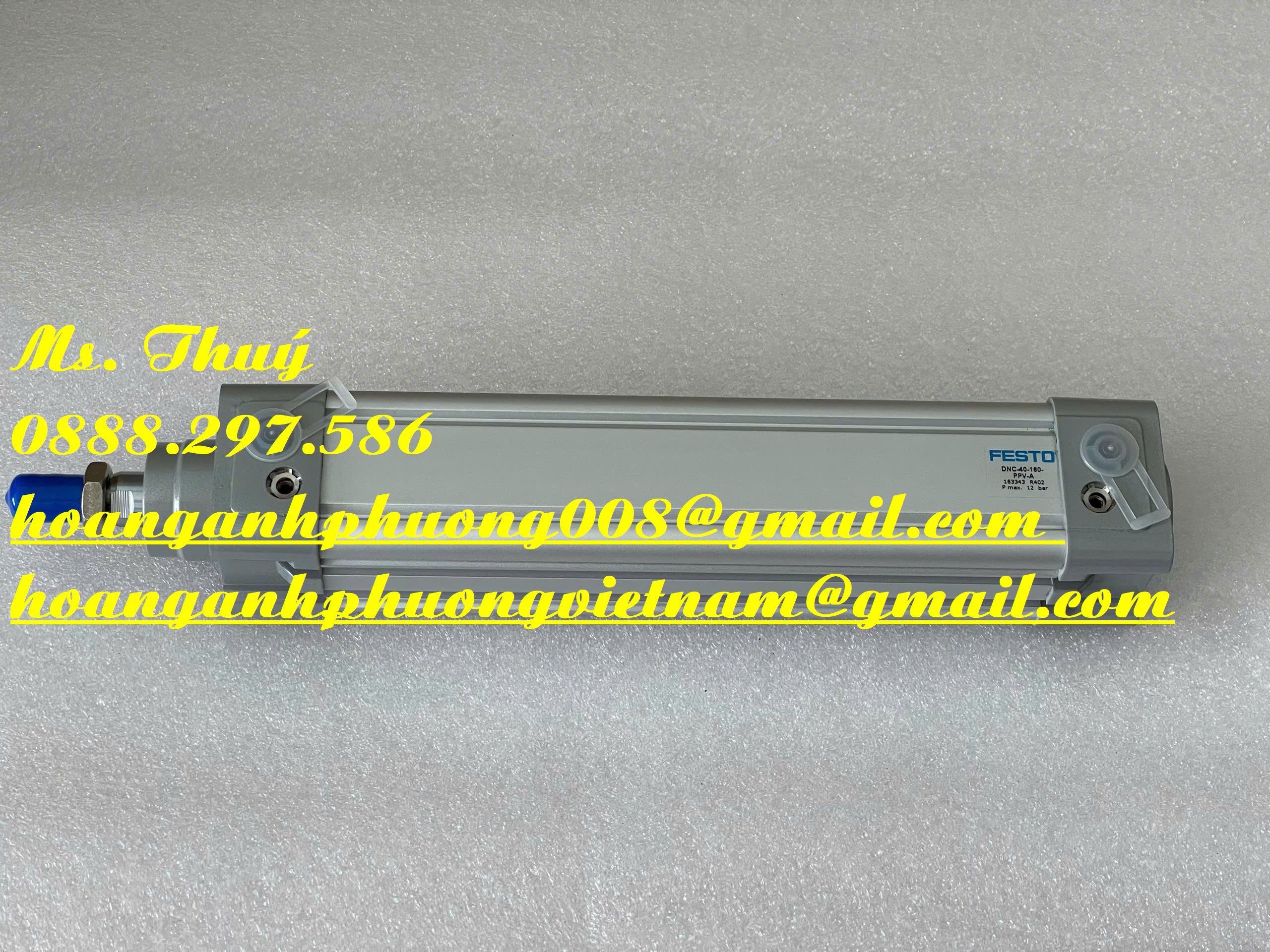 DNC-40-160-PPV-A - Xi lanh Festo BH 12 thánh chính hãng